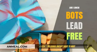 Unveiling the Truth: Are Lunch Bots Really Lead-Free?