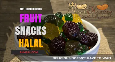 Exploring Halal Options: Are Lunch Buddies Fruit Snacks Compliant?