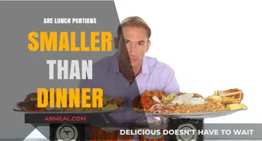 Lunch vs. Dinner: Are Lunch Portions Really Smaller Than Evening Meals?