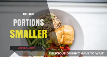 Shrinking Lunch Portions: A Closer Look at Modern Meal Sizes