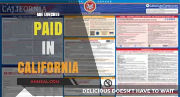 Understanding California Labor Laws: Are Lunches Paid?