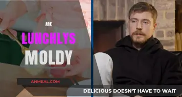 Unveiling the Truth: Are Lunchables Really Moldy?