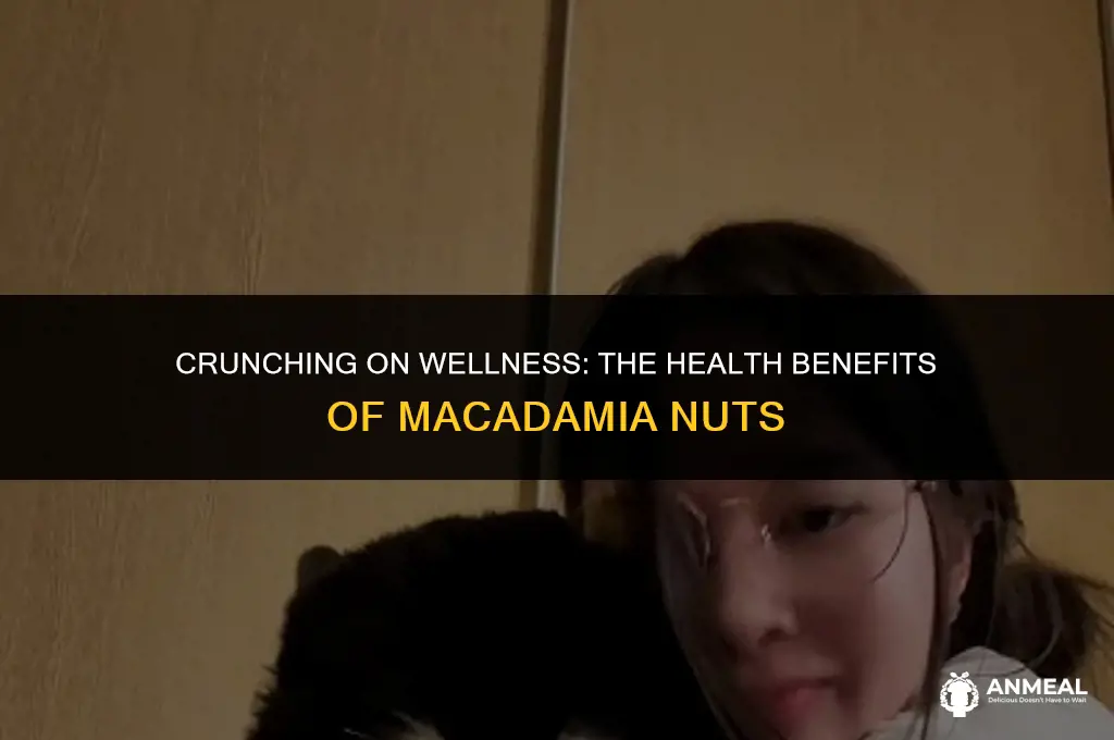 are macadamia nuts a healthy snack