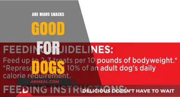 Can Maro Snacks Be a Healthy Treat for Your Dog?