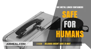 Exploring the Safety of Metal Lunch Containers for Human Use