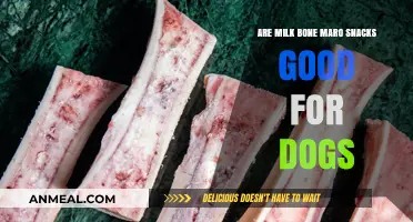 Milk Bone Marrow Snacks: A Healthy Treat for Your Dog?