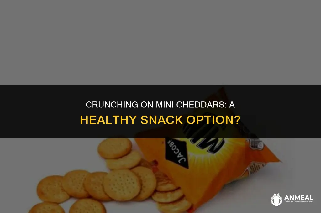 are mini cheddars a healthy snack