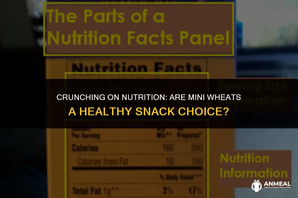 are mini wheats a healthy snack