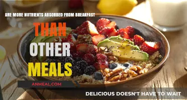 Breakfast: Most Nutritious Meal of the Day?