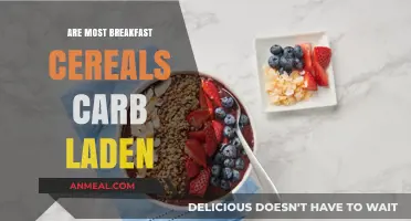 Breakfast Cereals: Carb-Heavy Start to Your Day?