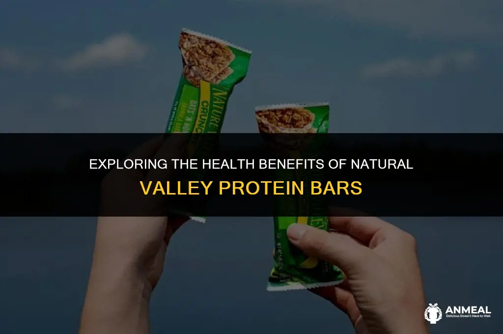 are natural valley protein bar snack good