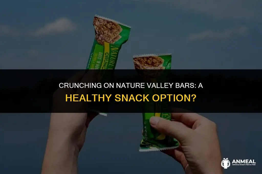 are nature valley bars a healthy snack