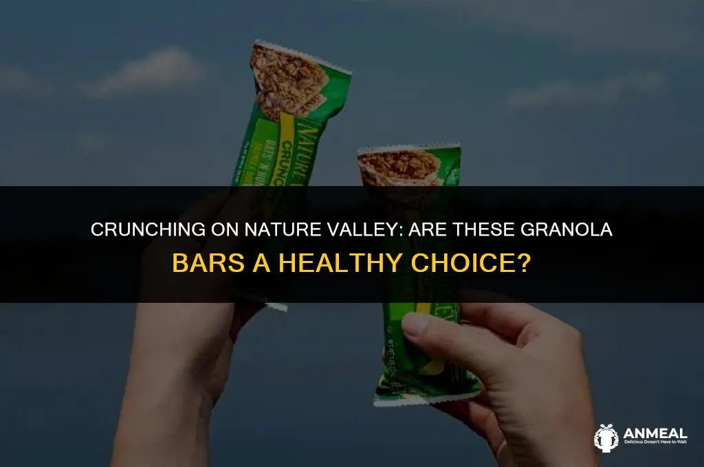 are nature valley granola bars a healthy snack