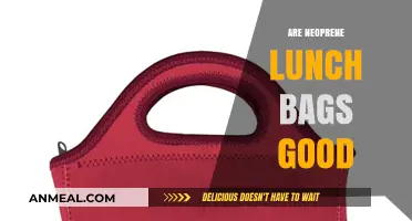 Exploring the Pros and Cons of Neoprene Lunch Bags: A Comprehensive Guide