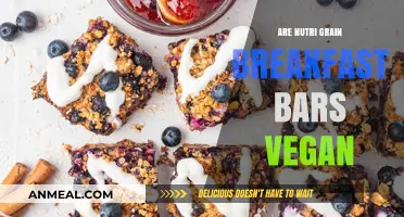 Nutri-Grain Breakfast Bars: Vegan or Not?