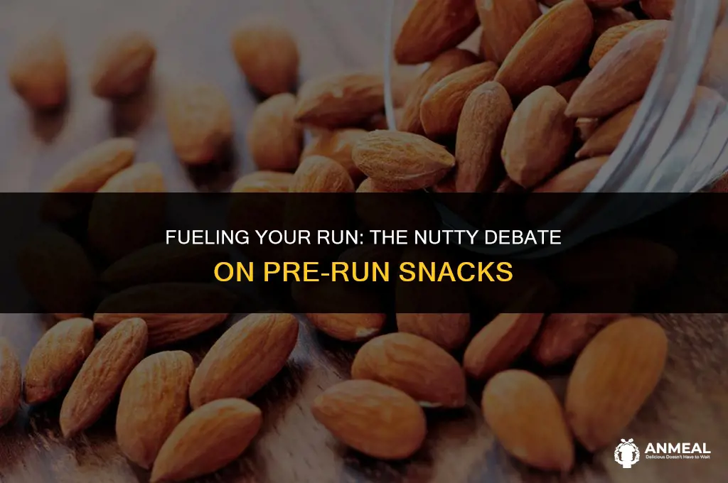 are nuts a good pre run snack