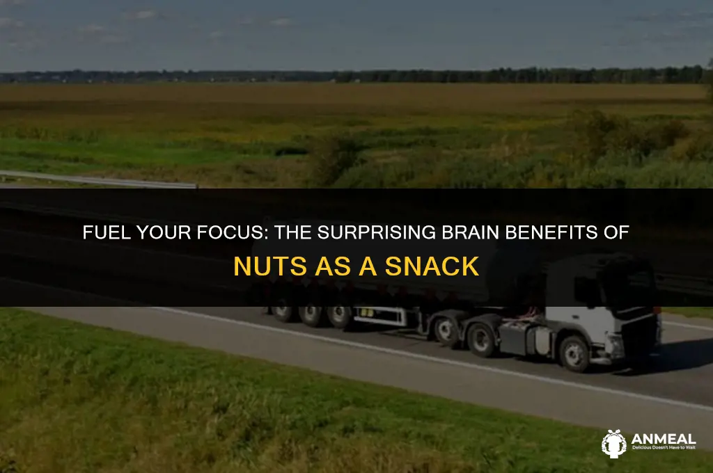 are nuts a good snack for brain work