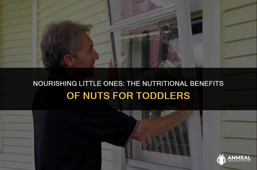 are nuts a good snack for toddlers