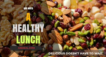 Nourishing or Not? The Nutty Debate on Healthy Lunches