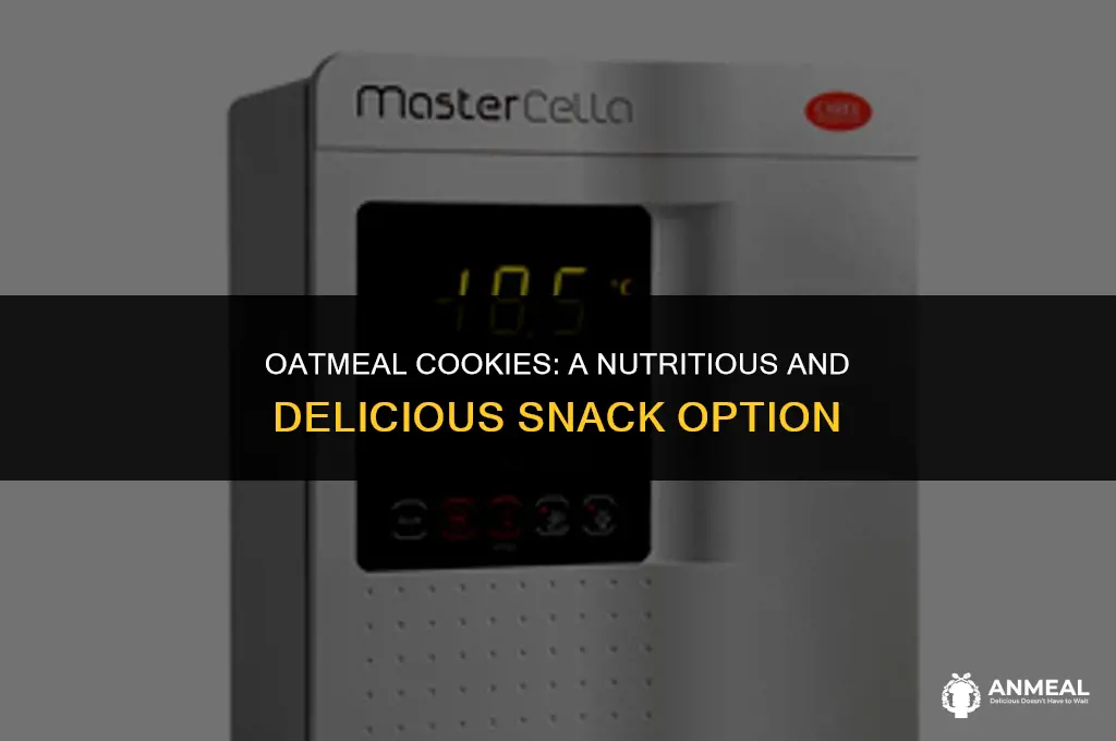 are oatmeal cookies a good snack