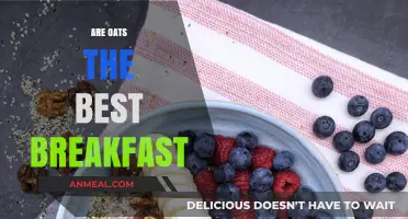 Oats for Breakfast: The Ultimate Morning Fuel or Overhyped?