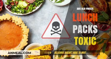 Unpacking the Truth: Are Old Frozen Lunch Packs Toxic?