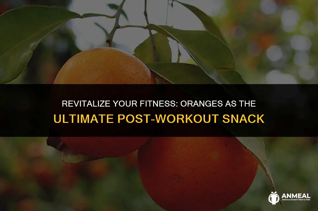 are oranges a good post workout snack