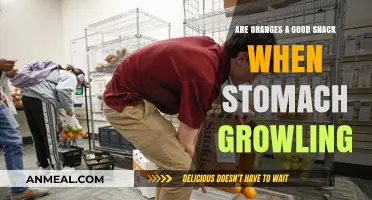 Are Oranges a Good Snack When Your Stomach's Growling?