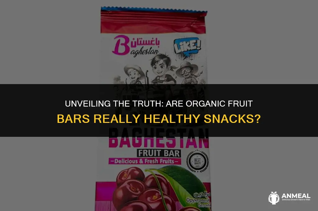 are organic fruit bars healthy snacks