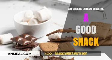 Crunchy, Wholesome, and Delicious: Organic Graham Crackers as a Healthy Snack Option