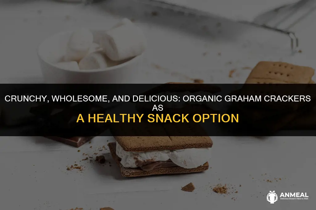 are organic graham crackers a good snack