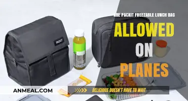 Can You Freeze PackIt Lunch Bags for Air Travel?