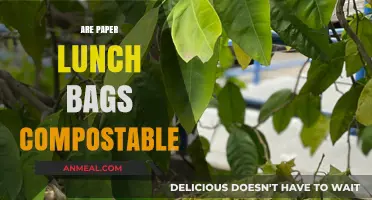 Eco-Friendly Alternatives: The Truth About Composting Paper Lunch Bags