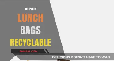 Unpacking Sustainability: The Truth About Recycling Paper Lunch Bags