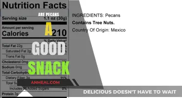 Pecans: A Nutritious and Delicious Snack Option