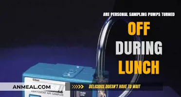 Lunch Break Protocols: Are Personal Sampling Pumps Paused?