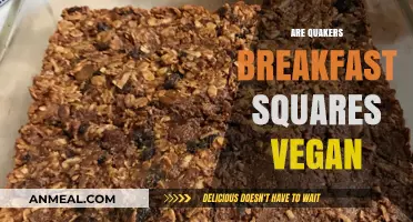 Are Quaker Breakfast Squares Vegan? A Detailed Ingredient Analysis