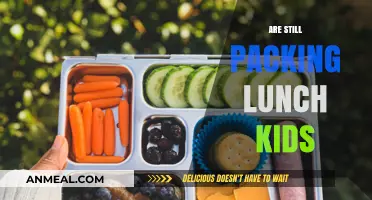 Nurturing Independence: The Art of Packing Lunches for Growing Kids