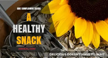 Sunflower Seeds: A Nutritious and Delicious Snacking Option