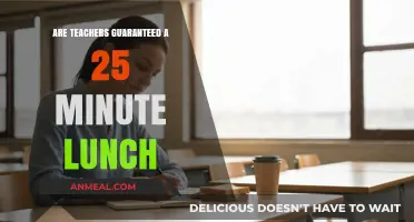 Debunking Myths: Teachers' Lunch Breaks Under Scrutiny
