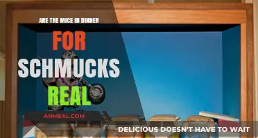 Are the Mice in Dinner for Schmucks Real? Uncovering the Truth