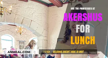 Royal Dining Delight: Princesses Unite at Akershus for Lunch