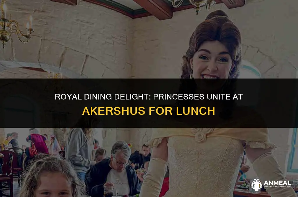 are the princesses at akershus for lunch