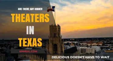 Discover Texas' Dinner Theaters: A Guide to Live Shows and Dining