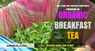 Organic Breakfast Tea: English Companies Brewing the Best