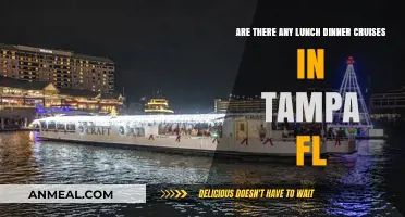 Tampa's Best Lunch & Dinner Cruises: A Guide to Waterfront Dining