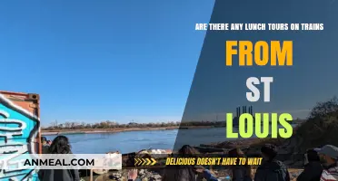 Discover St. Louis: Lunch Tours on Trains Await!