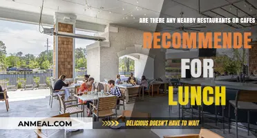 Discover Local Delights: Top Lunch Spots Near You