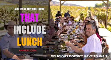 Savor and Explore: Wine Tours with Gourmet Lunches Included