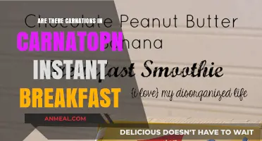 Carnation Breakfast: Does It Have Real Flowers?